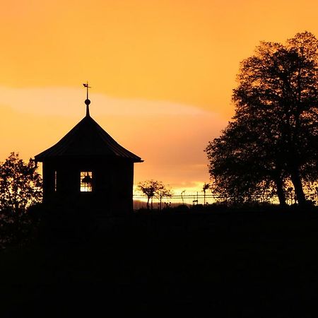 Ferienwohnung Mit Panoramablick Viktorsberg Екстер'єр фото